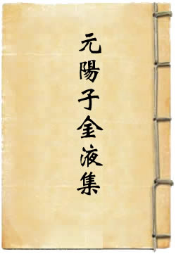 元阳子金液集